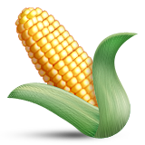 Mısır koçanı