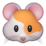 Hamster