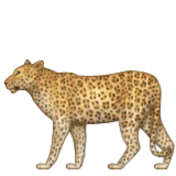 Leopar