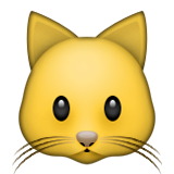Kedi yüzü