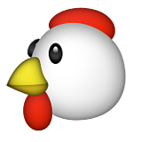 Tavuk