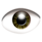 Göz