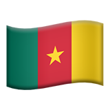 Bayrak: Kamerun