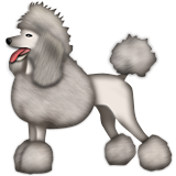 Kaniş