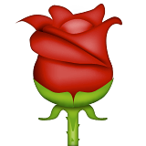 Gül