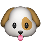 Köpek yüzü Köpek yüzü