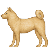 Köpek Köpek
