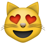 Kalp gözlü gülümseyen kedi Kalp gözlü gülümseyen kedi