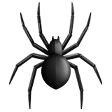 Örümcek Örümcek