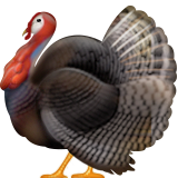 Hindi Hindi
