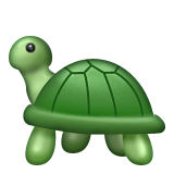 Kaplumbağa Kaplumbağa
