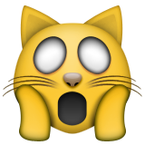 Korkuyla bağıran kedi Korkuyla bağıran kedi