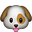 Köpek yüzü