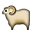 Koyun