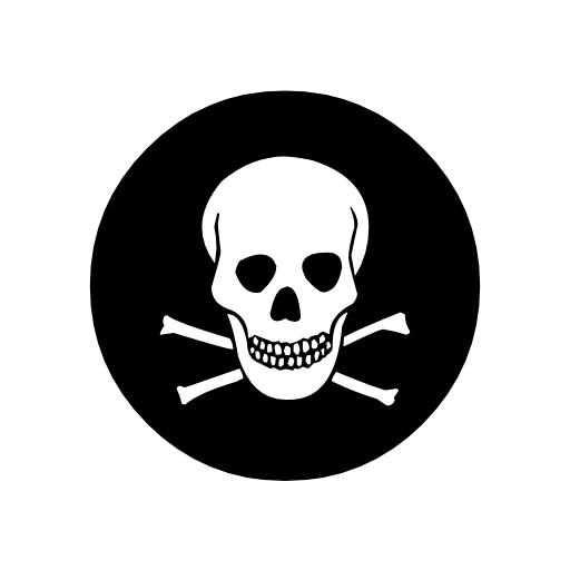 Pirate Flag Pirate Flag