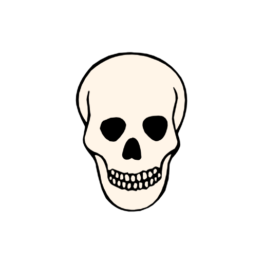 Skull Skull