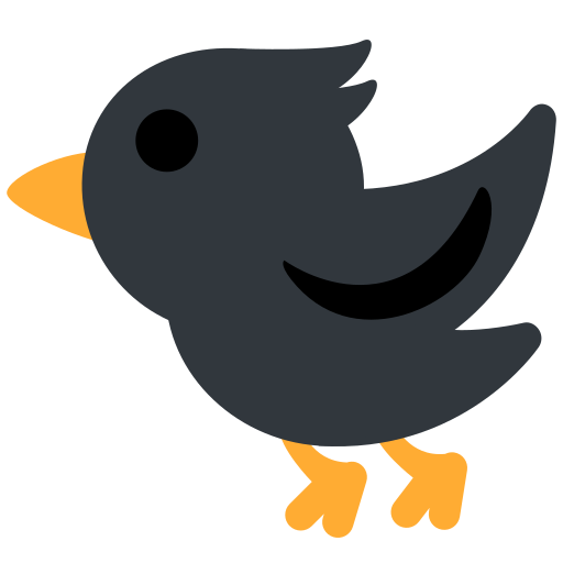 Black Bird Black Bird