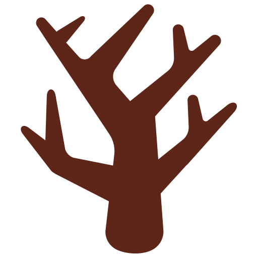 Leafless Tree Leafless Tree