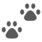 Paw Prints