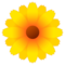 Blomma