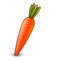 Morot