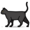 Katt