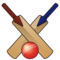 Cricket