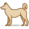 Hund