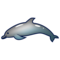 Delfin