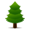 Barrträd