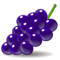 Vindruvor