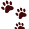 Tassavtryck