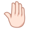 Höjd handrygg: Ljus Hudton