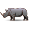 Noshörning