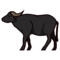 Vattenbuffel