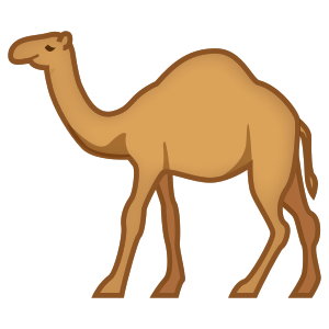Dromedar