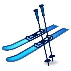 Skidor