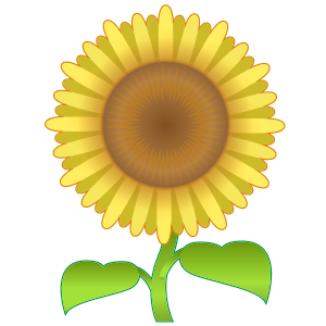Solros