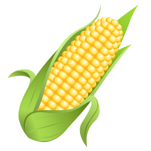 Majskolv