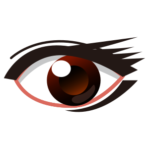 Öga