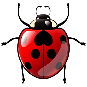 Nyckelpiga