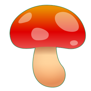 Svamp