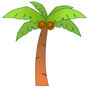 Palm