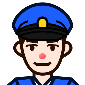Polis: Ljus Hudton
