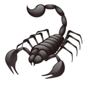 Skorpion
