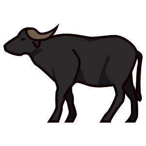 Vattenbuffel