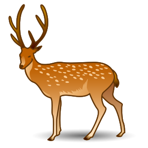 Hjort