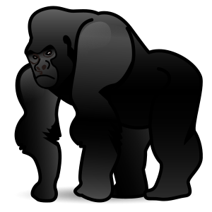 Gorilla