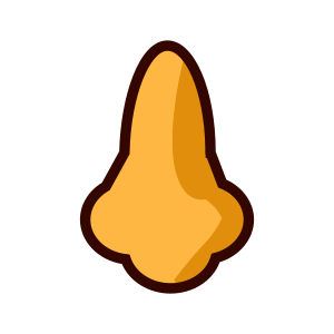 Näsa
