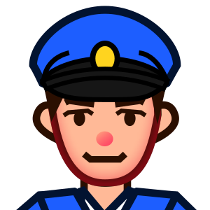 Polis: Mellanljus Hudton